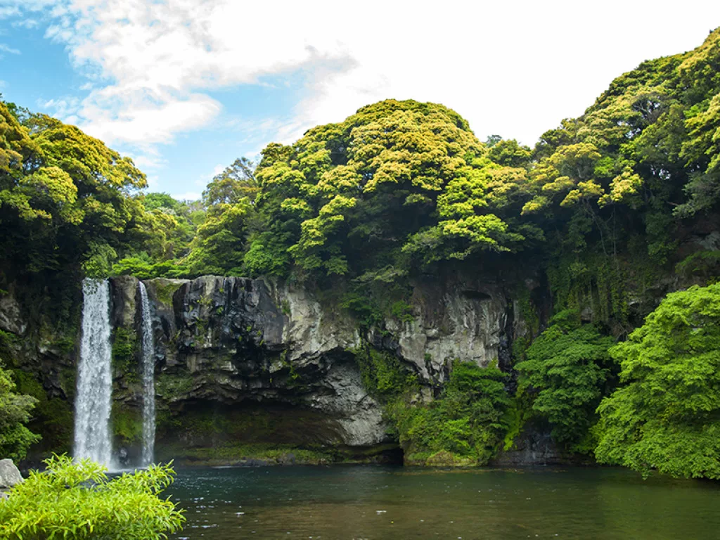 jeju tourist numbers