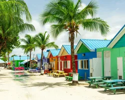 Colourful houses on the tropical island of Barbados