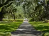 Brookgreen Gardens