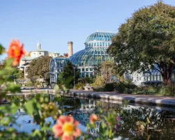 Brooklyn-Botanic-Gardens-MAIN