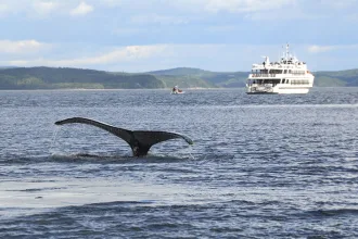 Charlevoix Landmark Attractions Main
