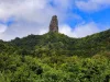 The Needle, or Te Rua Manga, a rock formation in the Cook Islands