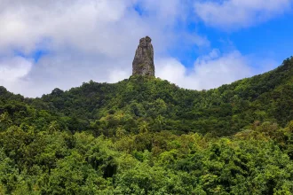 The Needle, or Te Rua Manga, a rock formation in the Cook Islands