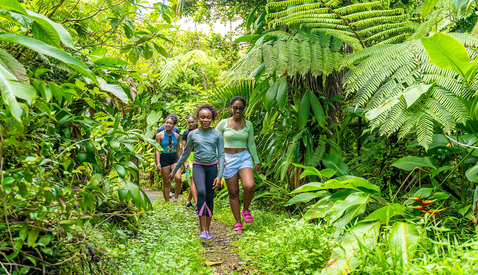 Dominica Hiking Freshwater Loop Trail Main