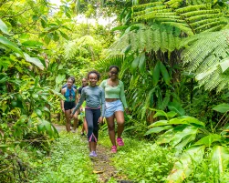 Dominica Hiking Freshwater Loop Trail Main