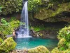 A swimmer enjoying Emerald Pool in the lush rain forest