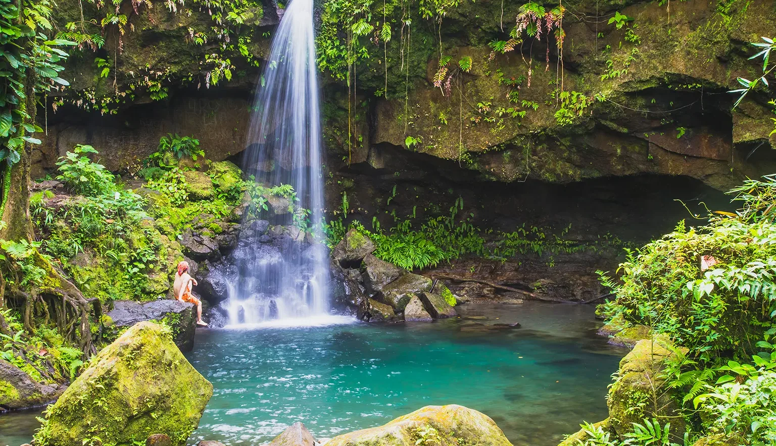 A swimmer enjoying Emerald Pool in the lush rain forest