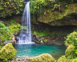 A swimmer enjoying Emerald Pool in the lush rain forest