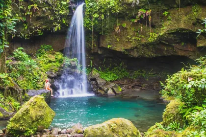 A swimmer enjoying Emerald Pool in the lush rain forest