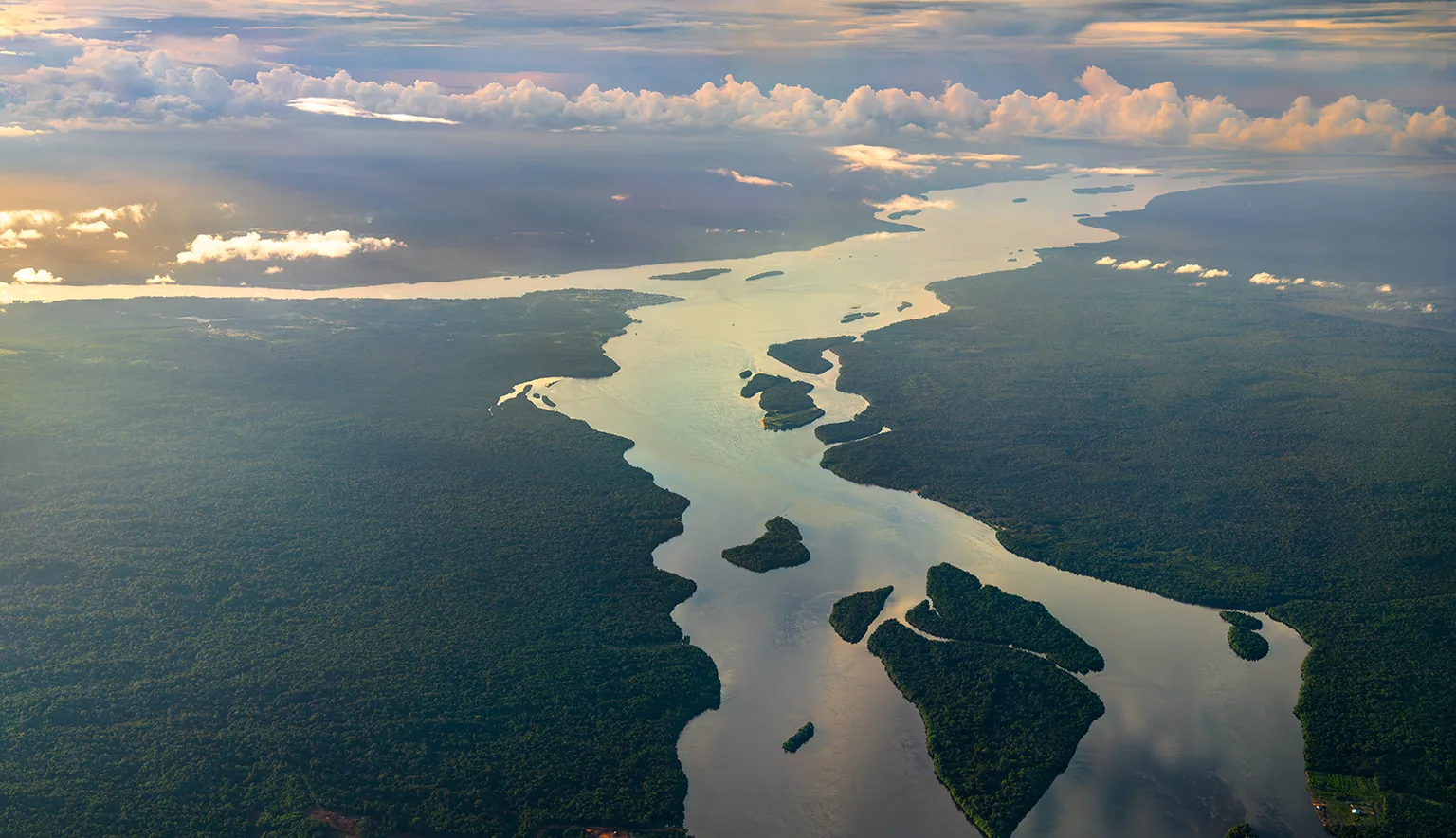 Essequibo River in the Amazon rainforest of Guyana