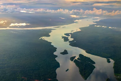 Essequibo River in the Amazon rainforest of Guyana