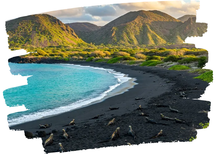 Galapagos Islands Travel Guide