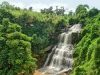 Ghana's Waterfalls In Focus