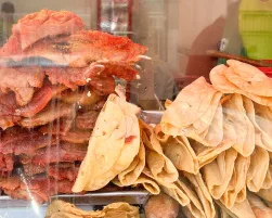 Guadalajara In Focus MAIN new version