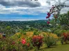View of Honiara from the top of hill