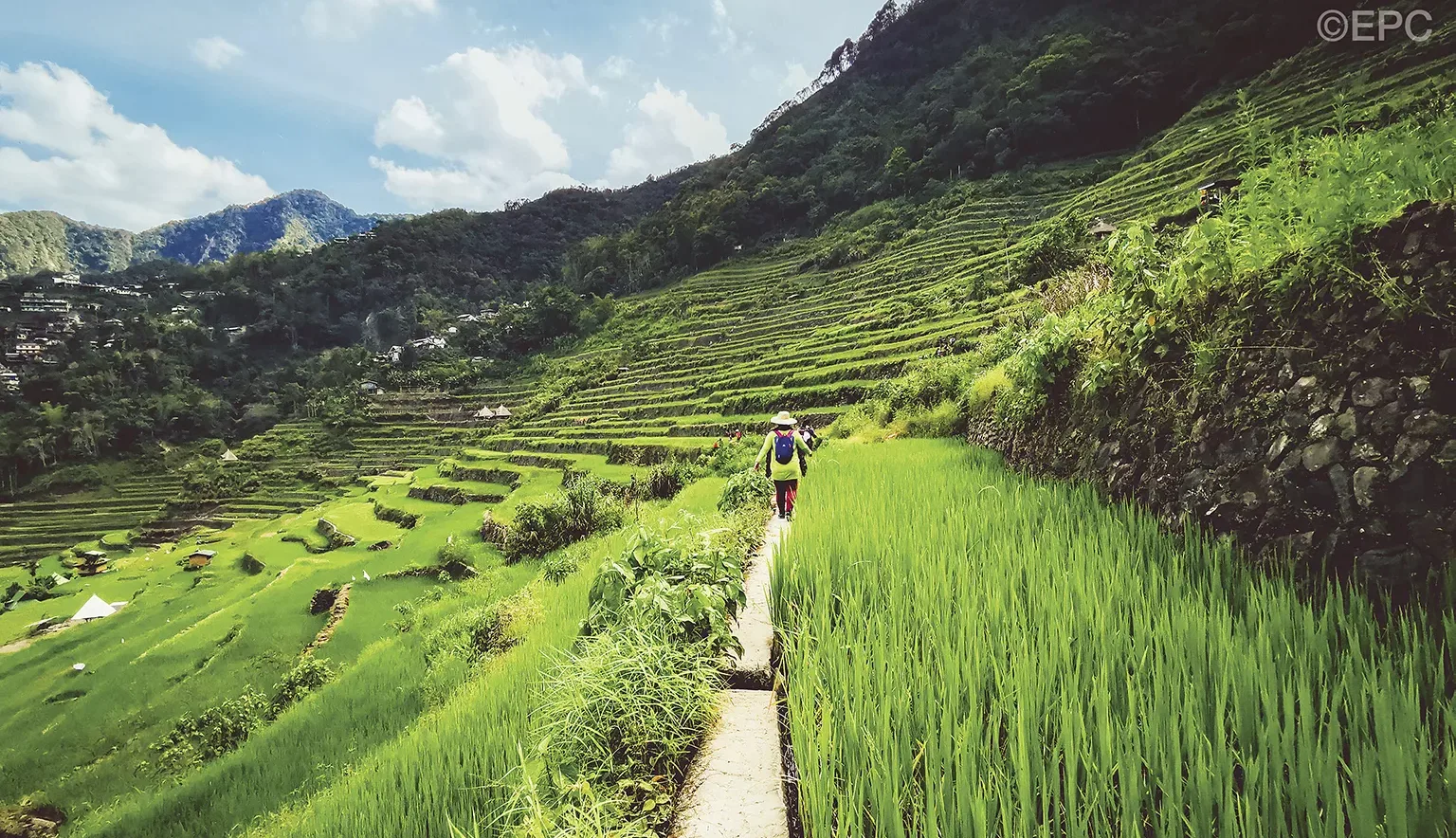 Ifugao-Rice-Terraces-LA-jpg-webp-webp.webp Photo Credit: Russel Llanera
