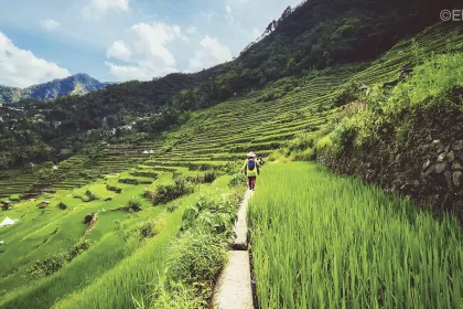 Ifugao-Rice-Terraces-LA-jpg-webp-webp.webp Photo Credit: Russel Llanera