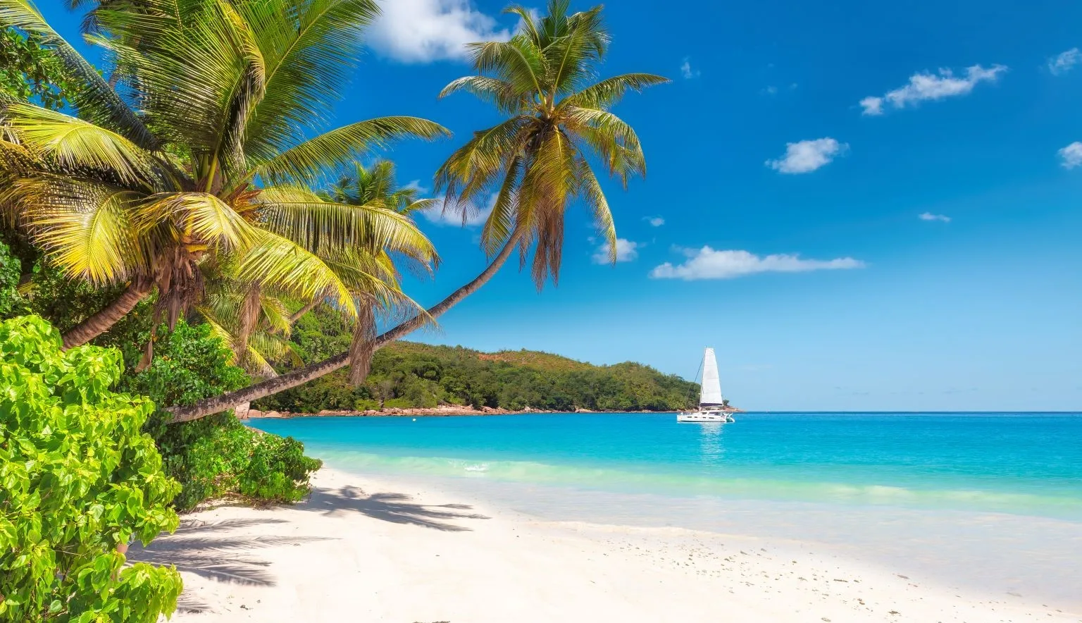 Jamaica Travel Guide Main New