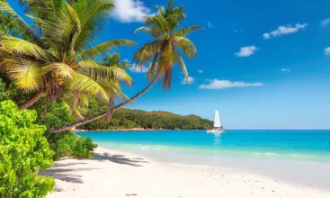 Jamaica Travel Guide Main New