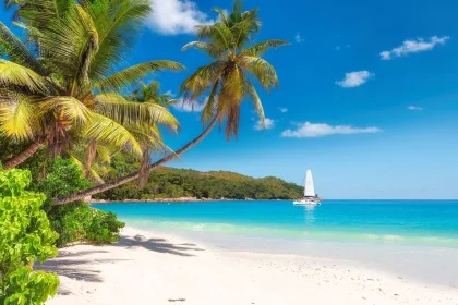 Jamaica Travel Guide Main New