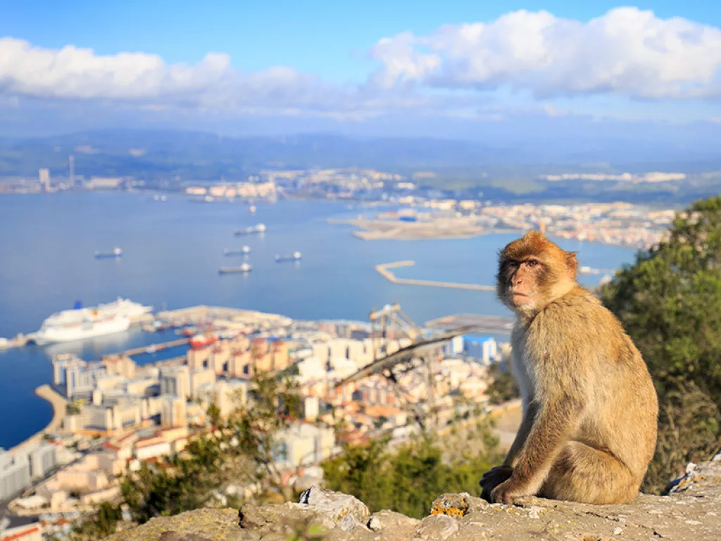 is gibraltar a tourist destination