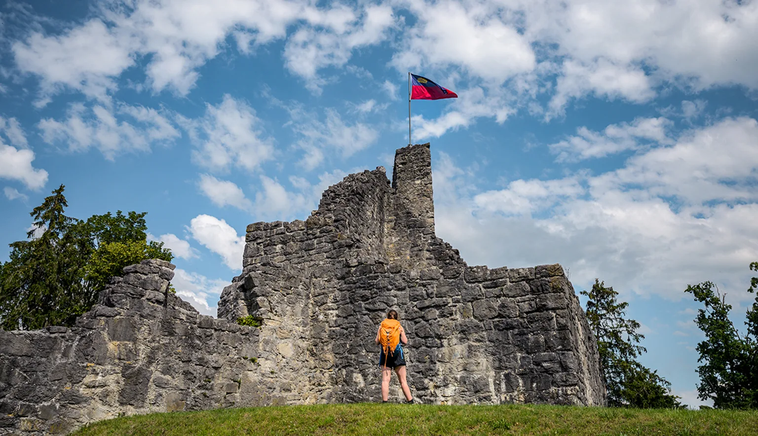 Burg Neu-Schellenberg