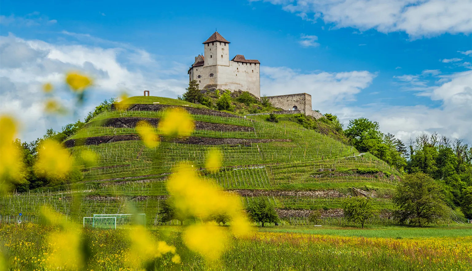 Liechtenstein main ©MiriamMayer LI-Radweg