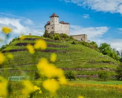 Liechtenstein main ©MiriamMayer LI-Radweg