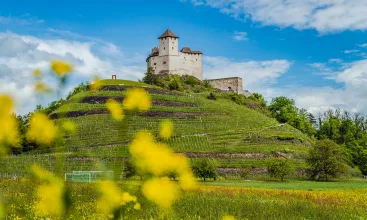 Liechtenstein main ©MiriamMayer LI-Radweg