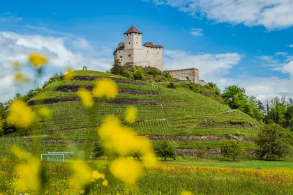 Liechtenstein main ©MiriamMayer LI-Radweg