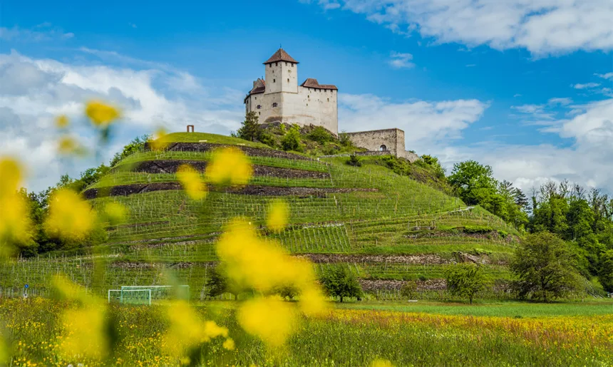 Liechtenstein main ©MiriamMayer LI-Radweg