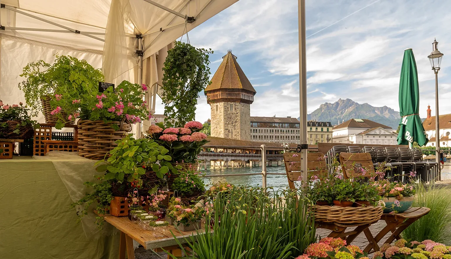 Wochenmarkt in Luzern | Tamara Stalder, Luzern Tourismus