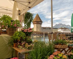 Wochenmarkt in Luzern | Tamara Stalder, Luzern Tourismus