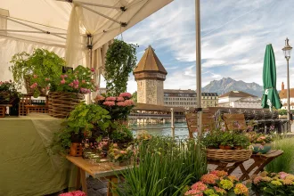 Wochenmarkt in Luzern | Tamara Stalder, Luzern Tourismus