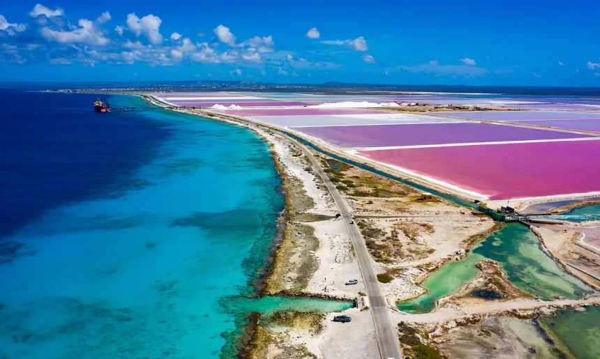 Bonaire Salt Pier