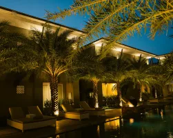 Chesa Canggu Travel Business