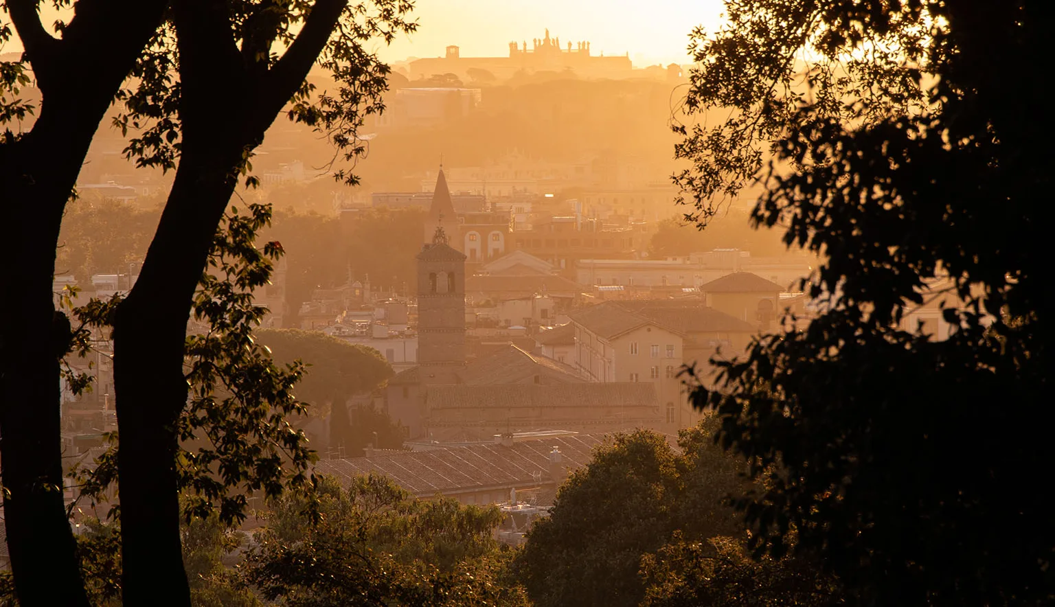 Julia Krikorian Behind the Lens