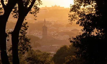 Julia Krikorian Behind the Lens