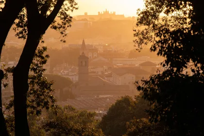 Julia Krikorian Behind the Lens