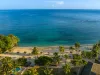 MAIN Recommends Jamaica 2025