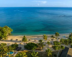 MAIN Recommends Jamaica 2025