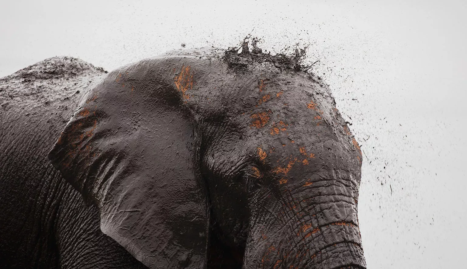 MAIN Teagan Cunniffe Behind the Lens