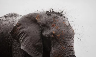 MAIN Teagan Cunniffe Behind the Lens