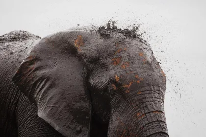 MAIN Teagan Cunniffe Behind the Lens