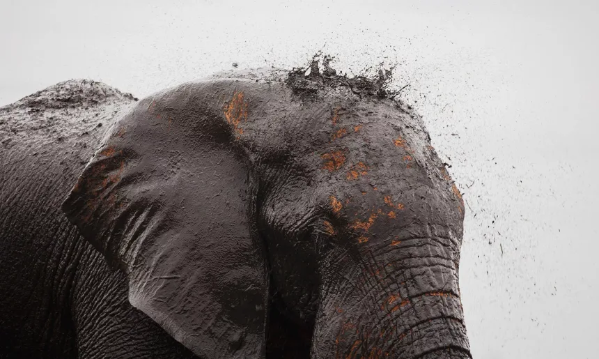 MAIN Teagan Cunniffe Behind the Lens