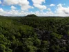 Madagascar Forest Aerial View
