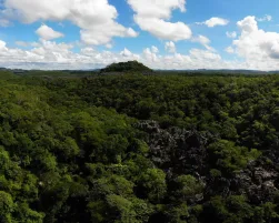 Madagascar Forest Aerial View