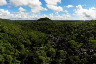 Madagascar Forest Aerial View