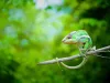 Madagascar Outlook Travel Recommends