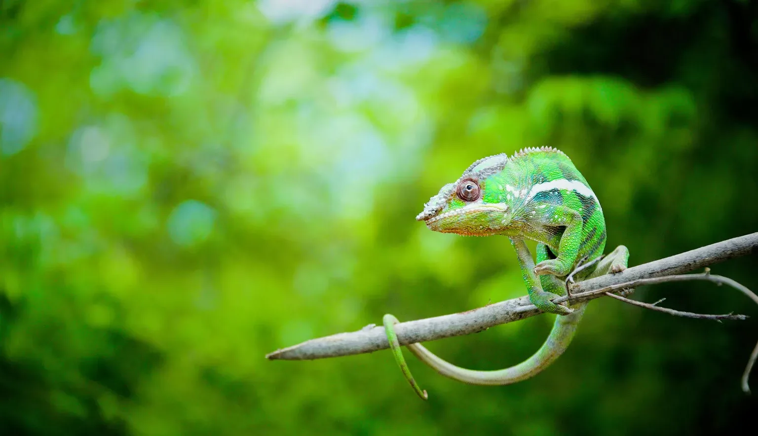 Madagascar Outlook Travel Recommends